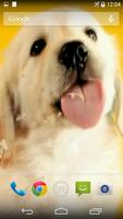 1 Schermata Puppy Licks Screen