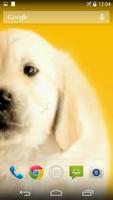 Puppy Licks Screen اسکرین شاٹ 2