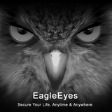 EagleEyes(Lite) aplikacja