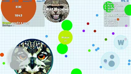 Petri Dish APK download