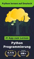 Python Lernen Programmieren Plakat