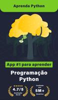 Aprenda Python e Programação Cartaz