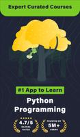 Learn Python постер