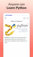 Learn Python Programming poster
