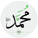 سورة محمد صوت بدون انترنت APK