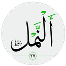 سورة النمل صوت بدون انترنت APK