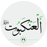 سورة العنكبوت صوت بدون انترنت APK