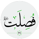 سورة فصلت صوت بدون انترنت APK