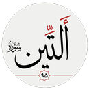 سوره تين APK
