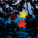 Water Autumn Leaves APK