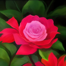 Floral Motion Live Wallpapers APK
