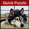 Quick Puzzle - Dogs APK