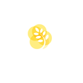 Qlup.id