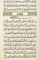 Quran Kareem Ekran Görüntüsü 3
