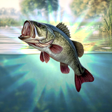 APK Bobber Fishing - Fishing game