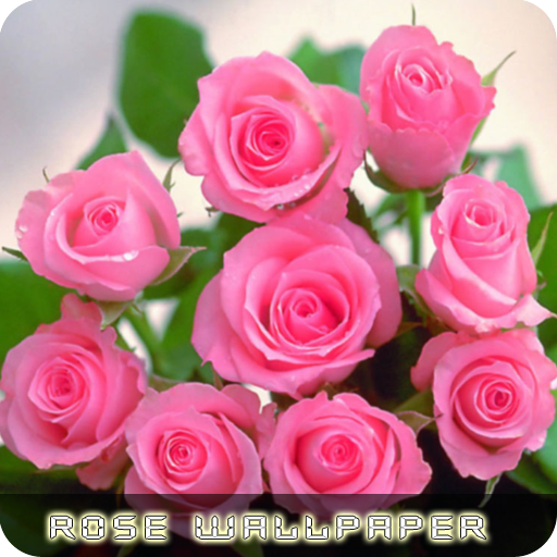 Fondos de flores rosas V2