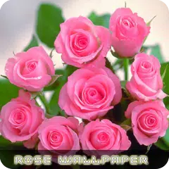 Descargar APK de Fondos de flores rosas V2
