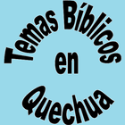 Bible Studies Huallaga Quechua 图标