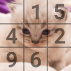 Sudoku Cats icône