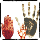 Palmistry membaca garis telapa APK