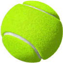 Simona Halep Quiz APK