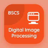 Image Processing Quiz - BSCS