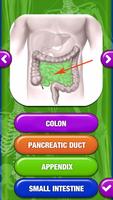 Human Body Anatomy Quiz screenshot 2