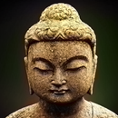 Quotes of Buddha APK