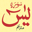 Surah Yaseen Urdu Translation  APK