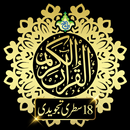 Quran 18 Lines(Tajweedi) Color APK