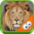 Invatam Animalele APK