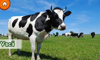 Invatam Animalele syot layar 2