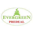 Evergreen Predeal icône