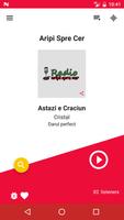 Radio Crestin Aripi Spre Cer Plakat