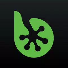 bestjobs XAPK download