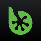 bestjobs иконка
