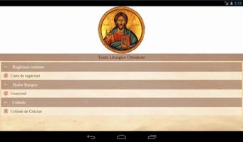 Texte Liturgice ảnh chụp màn hình 2