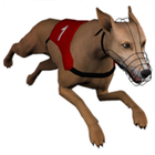 Dog Racing GHmanager-icoon