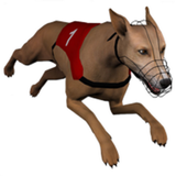 Dog Racing GHmanager ikona
