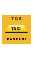 TOD TAXI Pașcani 海報