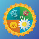 Seasons Live Wallpaper APK
