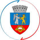 Oradea City Report icon