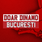 Doar Dinamo Bucuresti DDB ikona