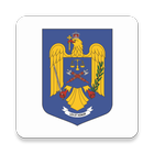Poliția Română icon