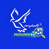 MyLoft - Pigeon Loft Manager APK