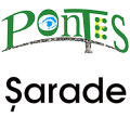 Șarade - Charades, Joc cuvinte
