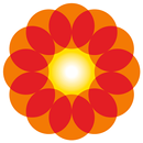Rompetrol Go-APK