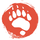 Bear Watch icon