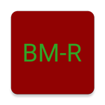 DMR BrandMeister repeaters icon