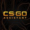 CS:GO Assistant